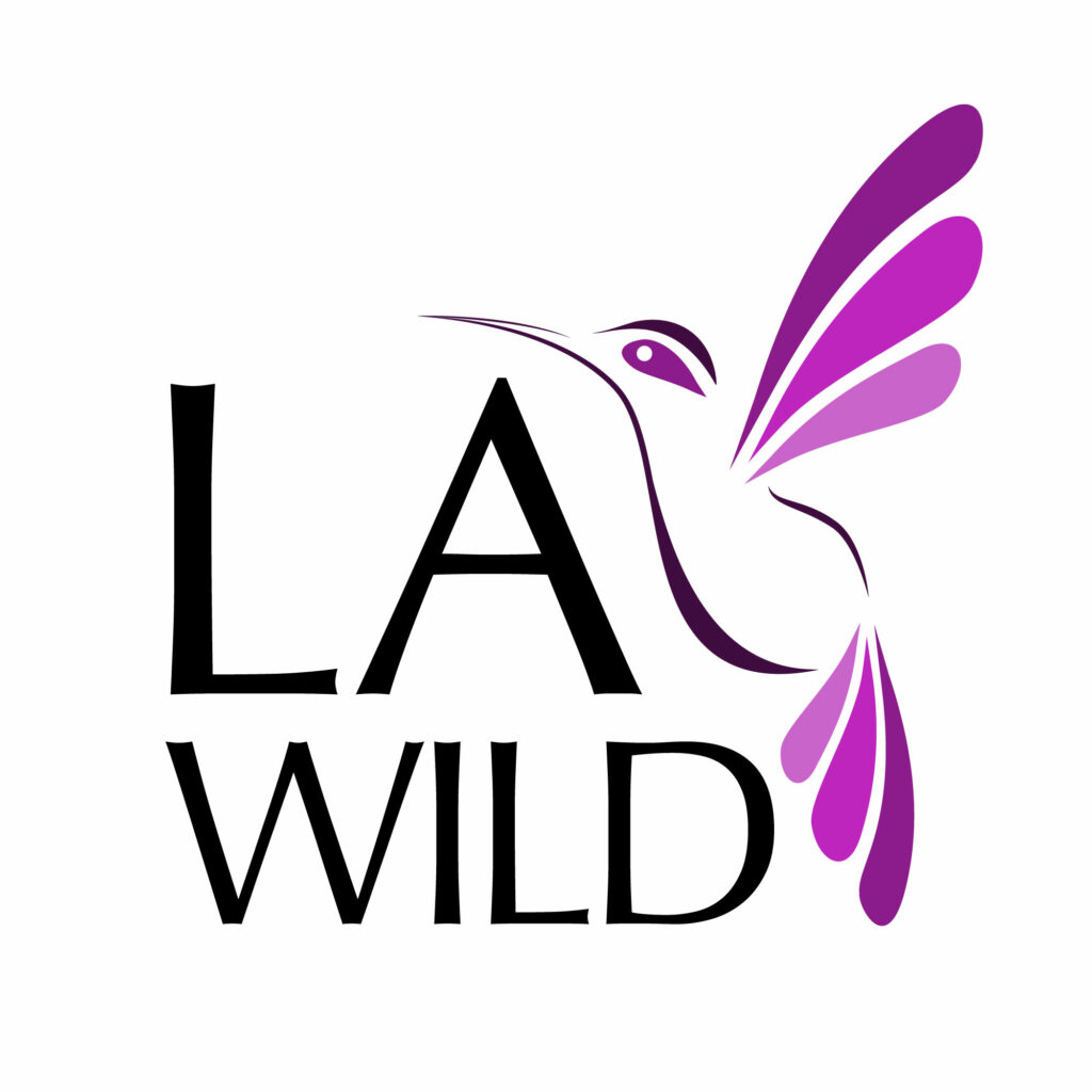 LA Wild