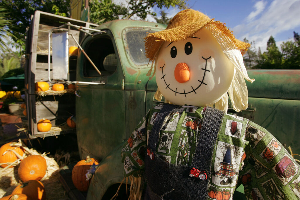 Fall Festival Scarecrow