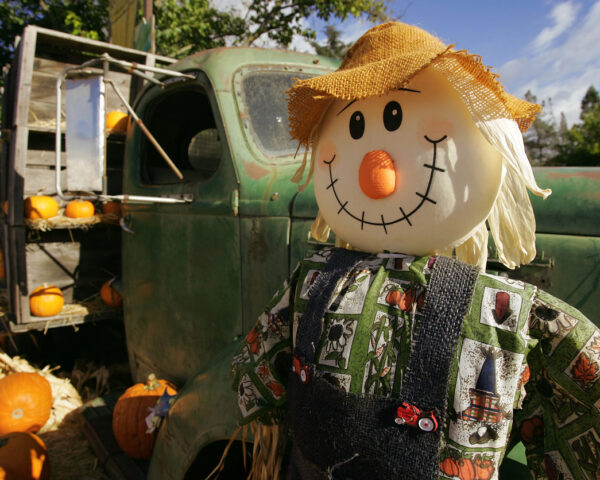 Scarecrow in front of old farm truck.